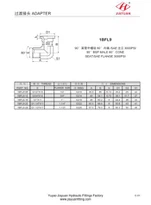 SAE 3000 Prirubnica za prirubnicu BSP 60 adapter